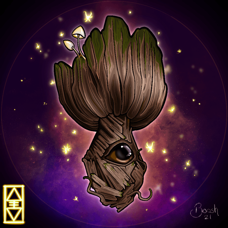 Xerocomellus Colossi